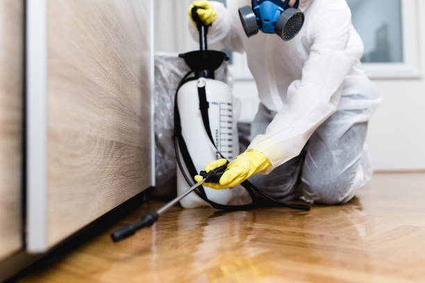 Best Commercial Pest Control Services  in Topaz Ranch Estates, NV
