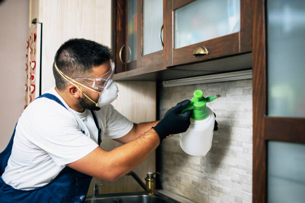 Best Local Pest Control Services  in Topaz Ranch Estates, NV