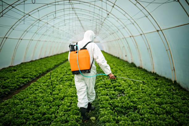 Best Best Pest Control Companies  in Topaz Ranch Estates, NV