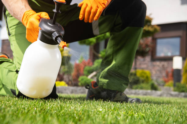 Best Wasp Removal Services  in Topaz Ranch Estates, NV