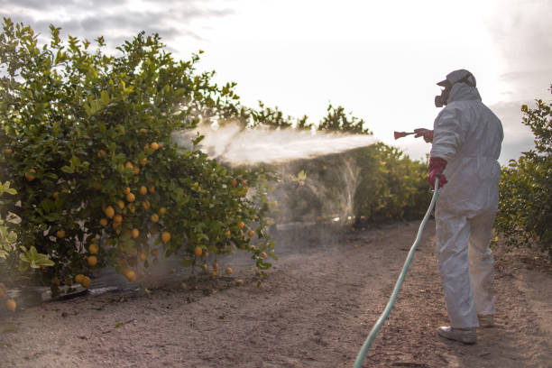 Best Pest Removal Services  in Topaz Ranch Estates, NV