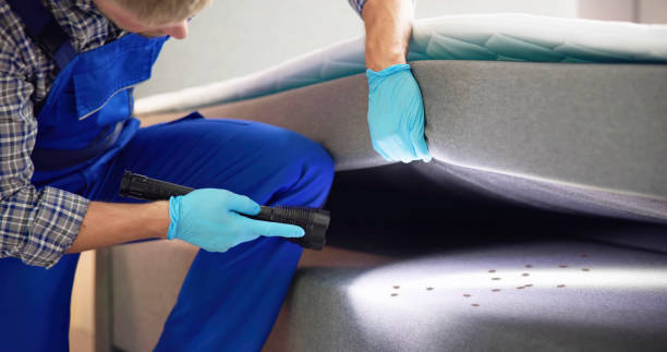 Reliable Topaz Ranch Estates, NV Pest Control Solutions